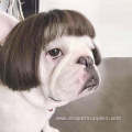 Costume Pet makeup pet dog wig set